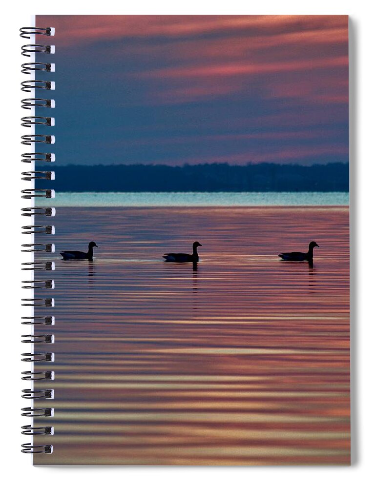 Beach Bum Pics Spiral Notebook featuring the photograph Ducks in a Row by Billy Beck