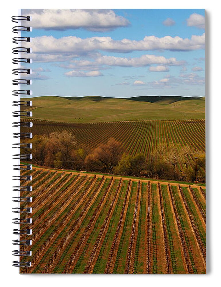 Vineyard Spiral Notebook featuring the photograph Dunnigan Hills Vineyard by Robert Woodward