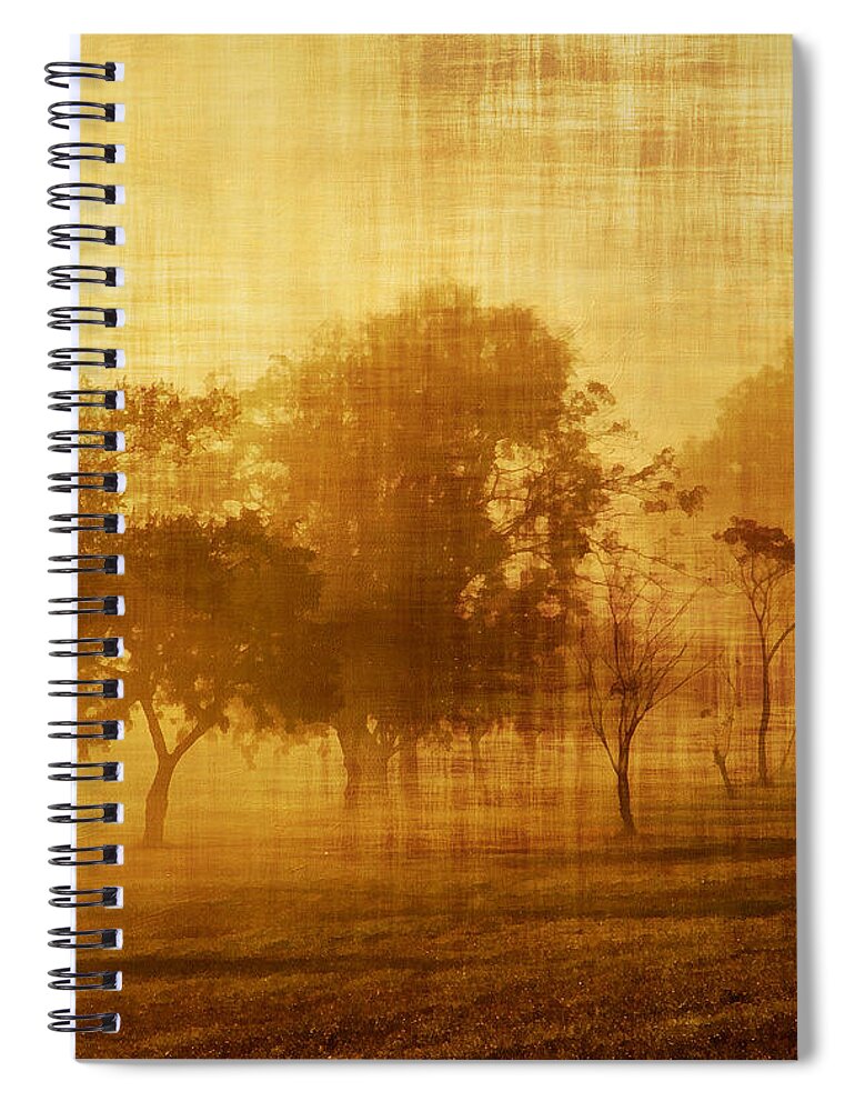 Vintage Spiral Notebook featuring the mixed media Dusty Mornings In The Sun Vintage by Georgiana Romanovna