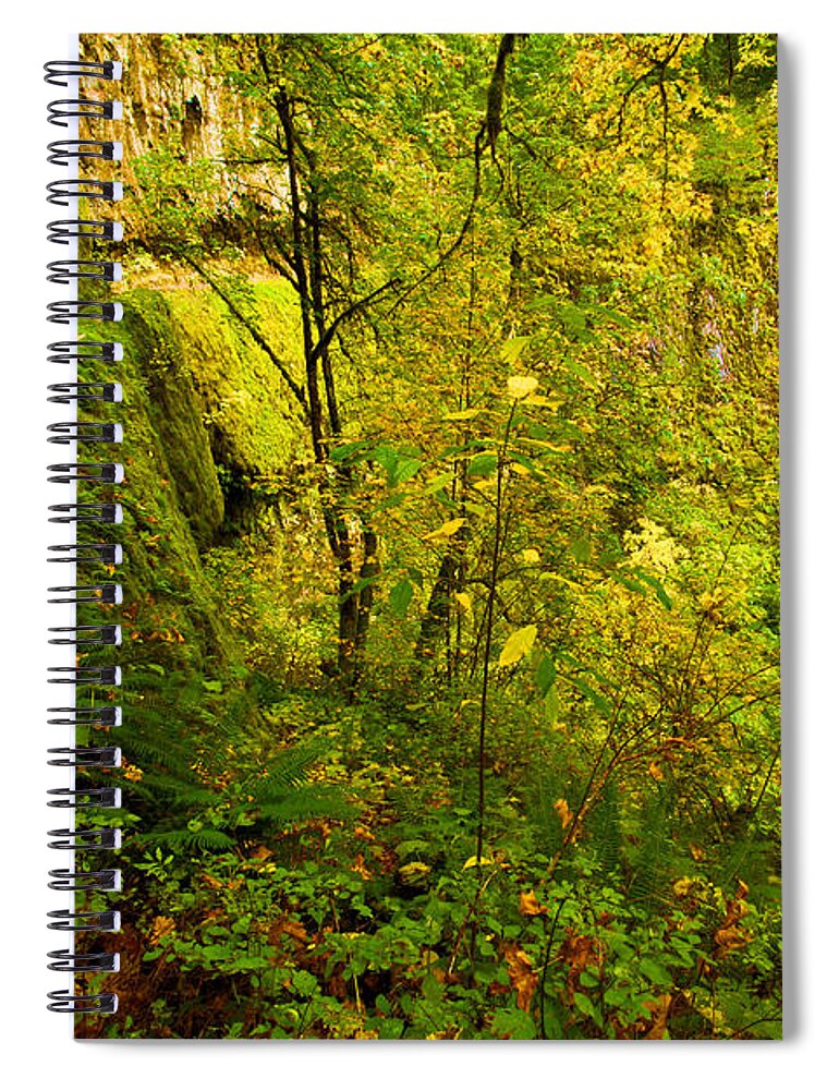 Eagle Creek Spiral Notebook featuring the photograph Eagle Creek Fall by Adam Jewell