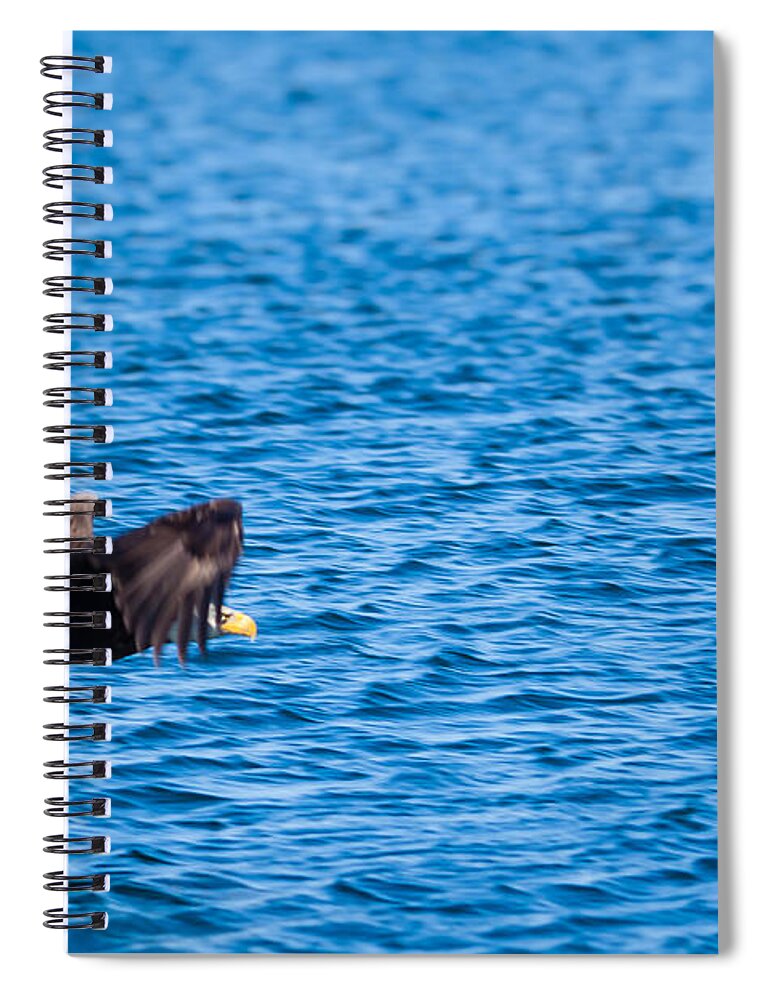 Atlantic Spiral Notebook featuring the photograph Eagle With Catch by Lars Lentz