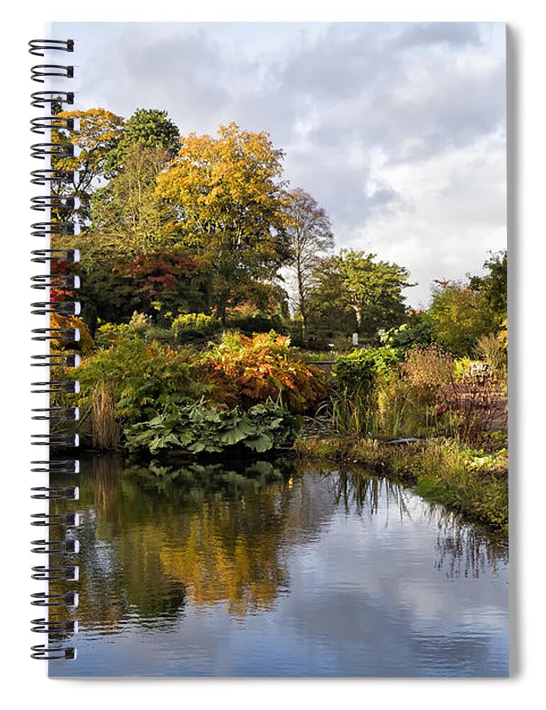 Nature Spiral Notebook featuring the photograph Early Autumn Light by Shirley Mitchell