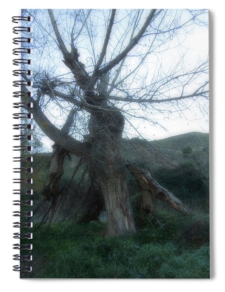 Colette Spiral Notebook featuring the photograph Early morning January wild mountain Nature in Spain by Colette V Hera Guggenheim