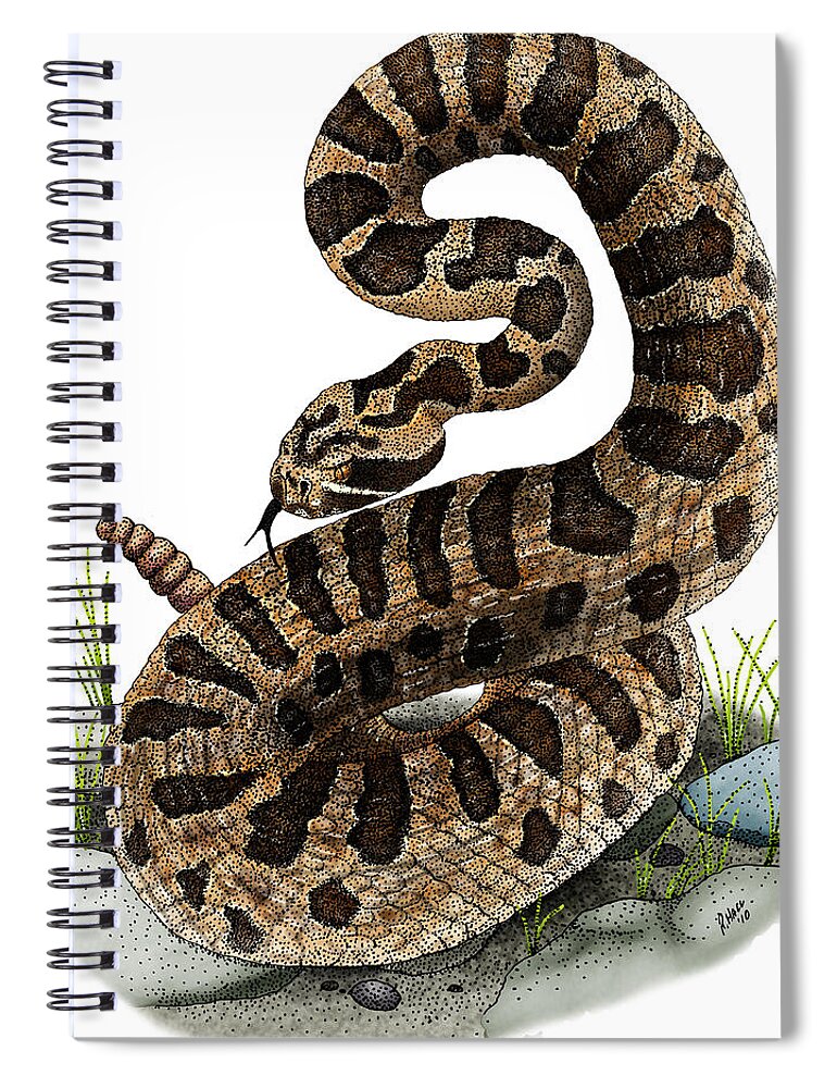 Illustration Spiral Notebook featuring the photograph Eastern Massasauga Rattlesnake by Roger Hall