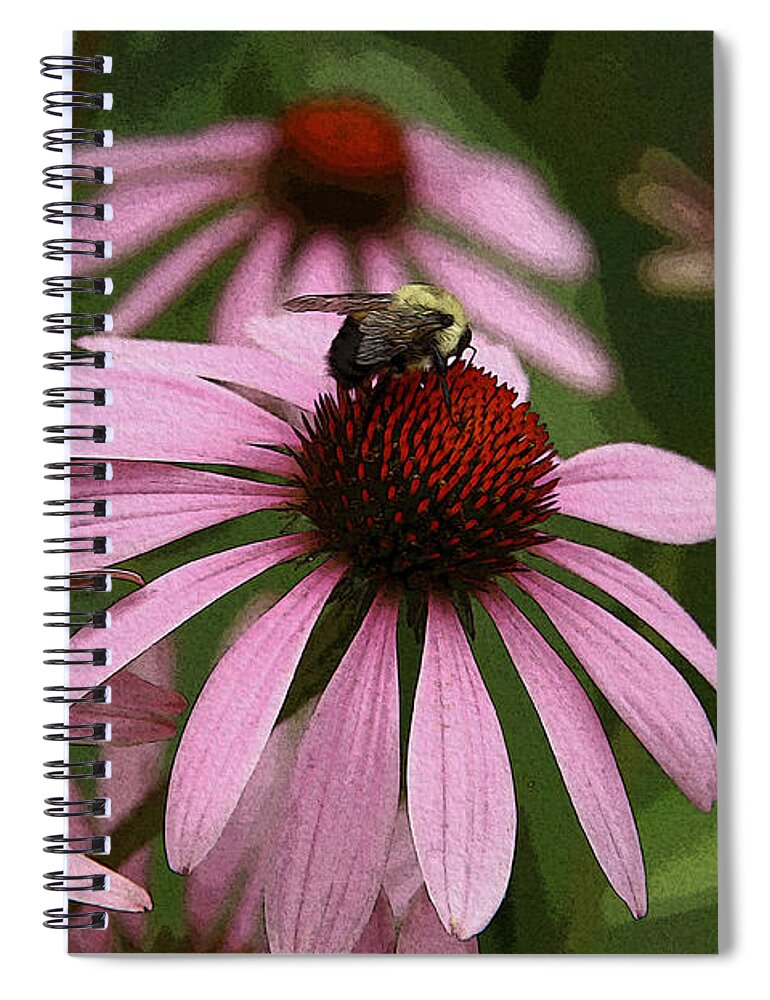 Garden Spiral Notebook featuring the photograph Echinacea - Pink Paradise by Yvonne Wright