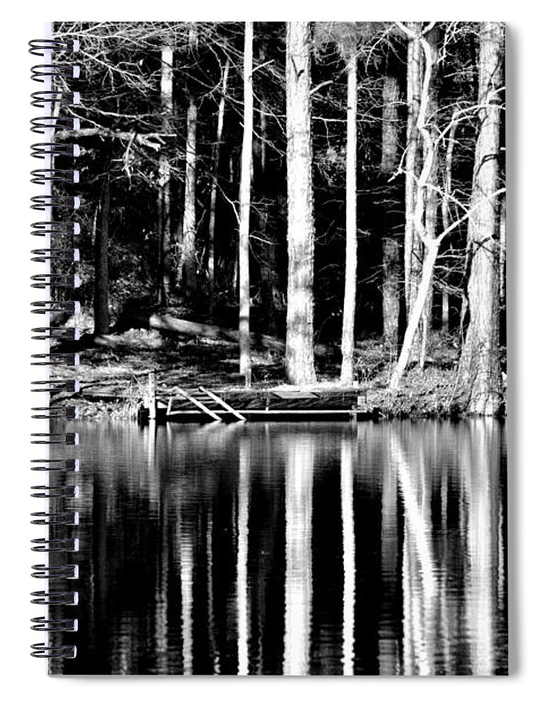 Trees Spiral Notebook featuring the photograph Echoing Trees by Tara Potts