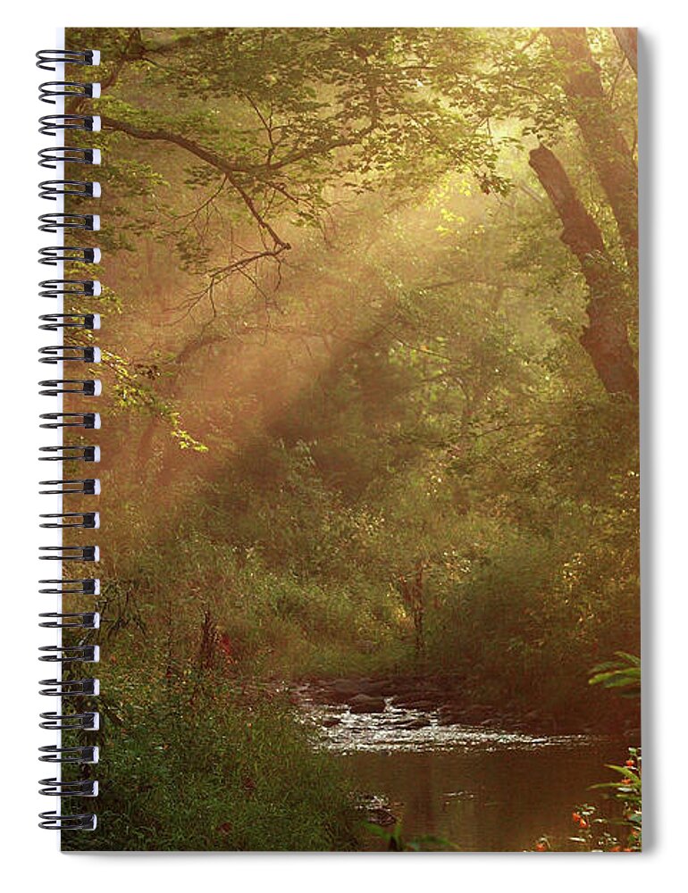 Sunlight Spiral Notebook featuring the photograph Eden...maybe. by Douglas Stucky