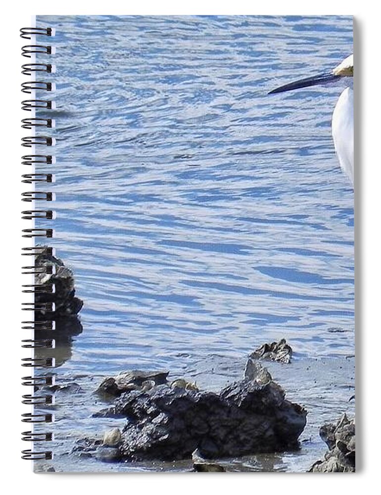Great Egret Spiral Notebook featuring the photograph Egret Standing Perfectly Still by Patricia Greer