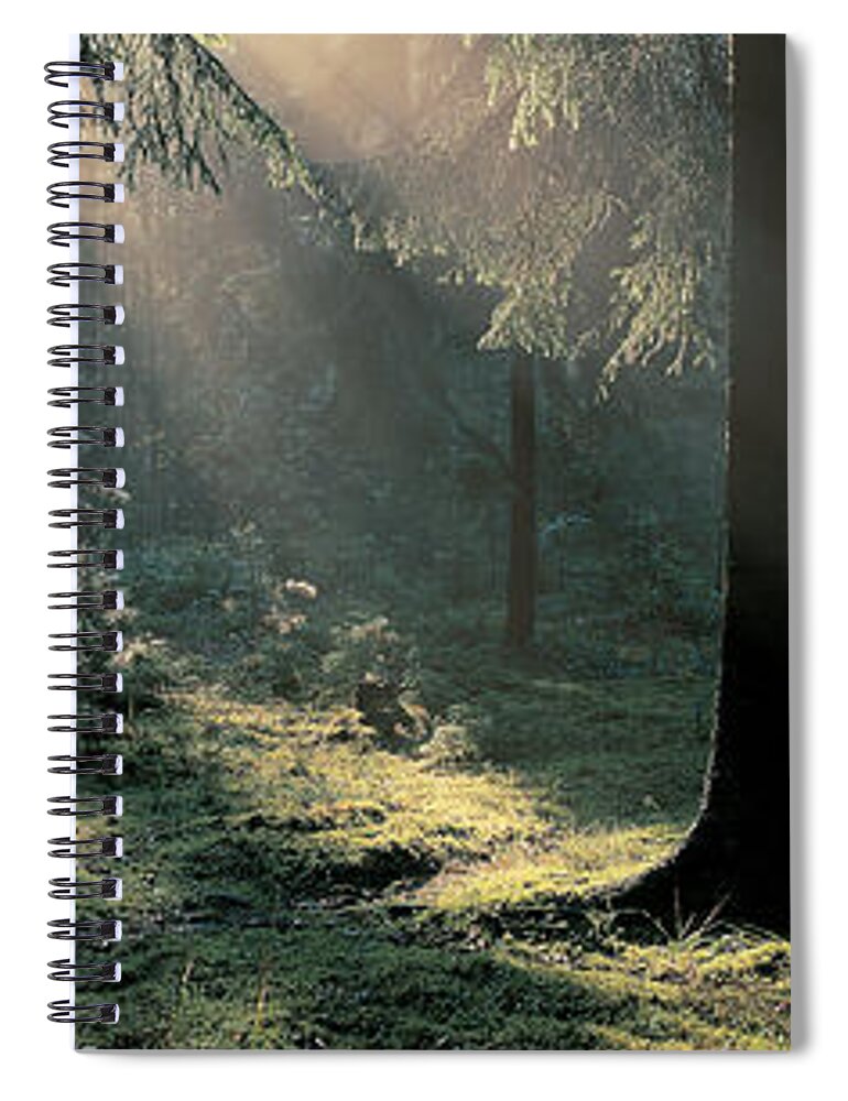 Photography Spiral Notebook featuring the photograph Ekero Uppland Sweden by Panoramic Images