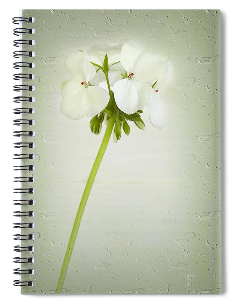 Flower Spiral Notebook featuring the photograph Eleanor by Elaine Teague