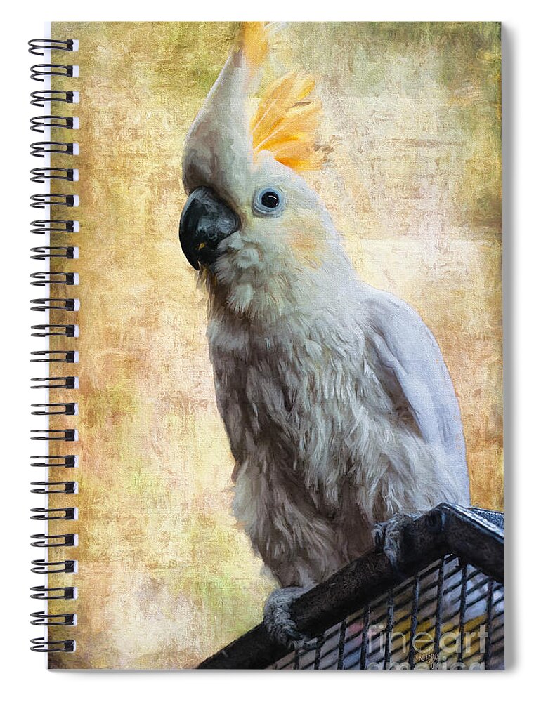 Cockatoo Spiral Notebook featuring the photograph Elegant Lady by Lois Bryan