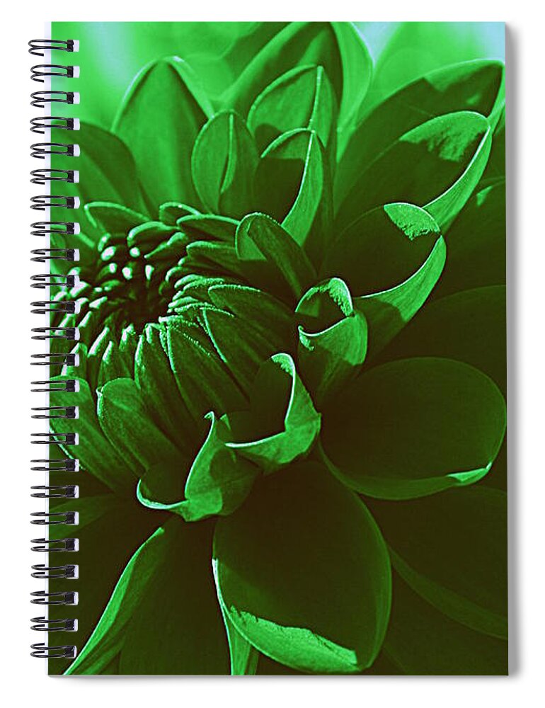 Dahlia Spiral Notebook featuring the photograph Emerald Green Beauty by Dora Sofia Caputo