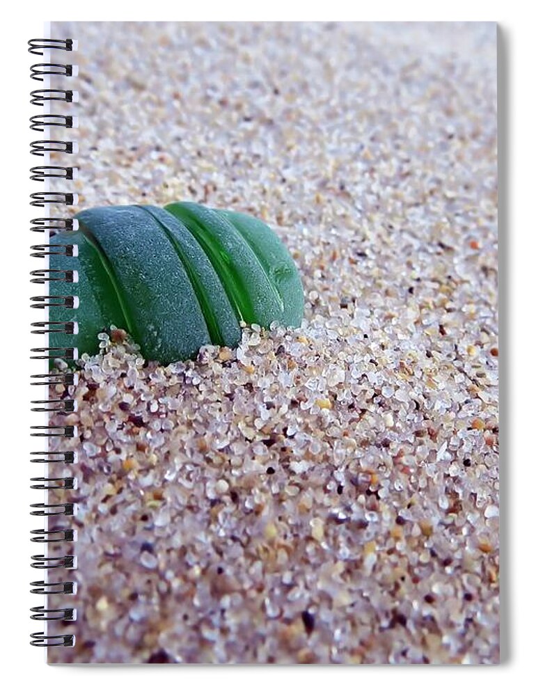 Janice Drew Spiral Notebook featuring the photograph Emerald by Janice Drew