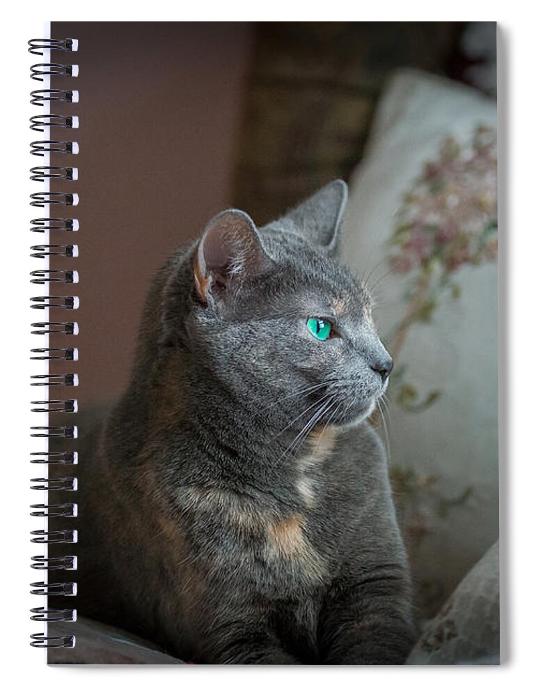 Cat Spiral Notebook featuring the photograph Emily by Phil Abrams