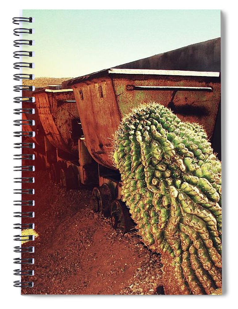 Catus Spiral Notebook featuring the digital art End of the Line by Carol Oufnac Mahan