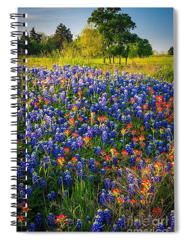 America Spiral Notebook featuring the photograph Ennis Bluebonnets by Inge Johnsson