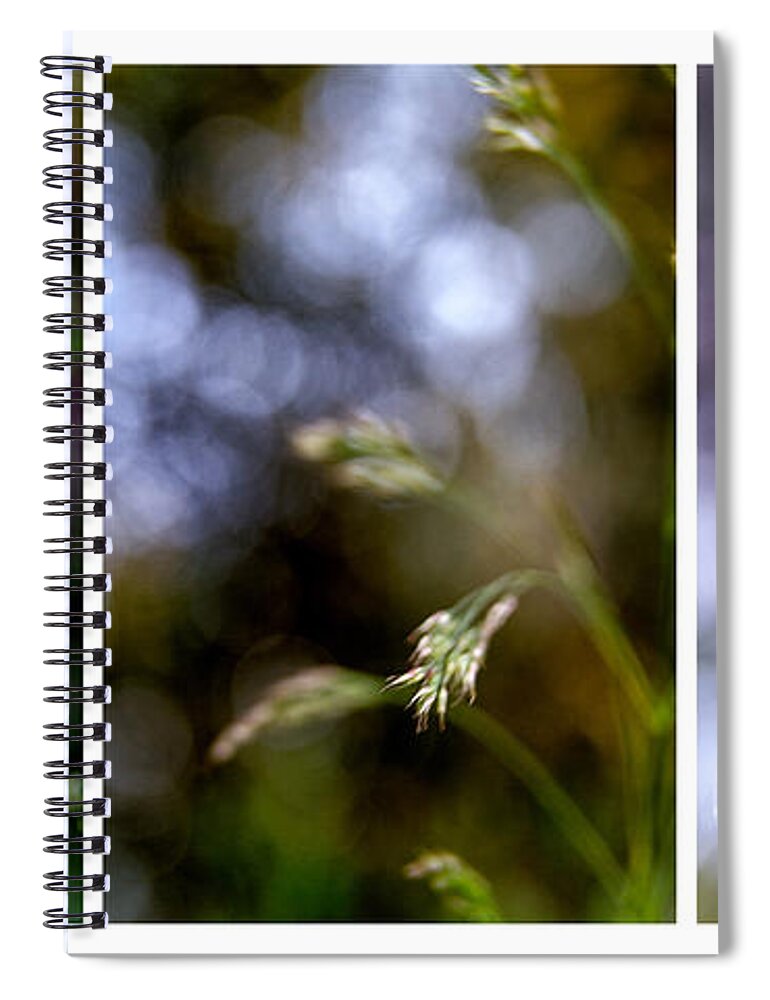 Abstract Spiral Notebook featuring the photograph Ensemble by Stelios Kleanthous
