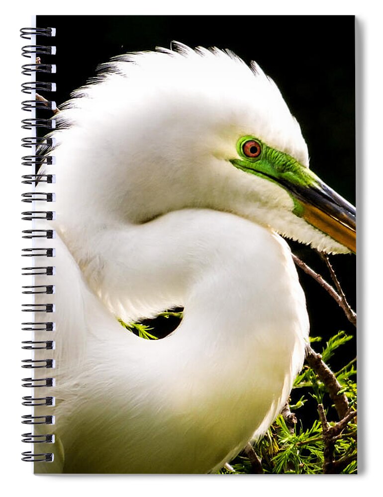 White Egrets Spiral Notebook featuring the photograph ESSENCE of BEAUTY by Karen Wiles