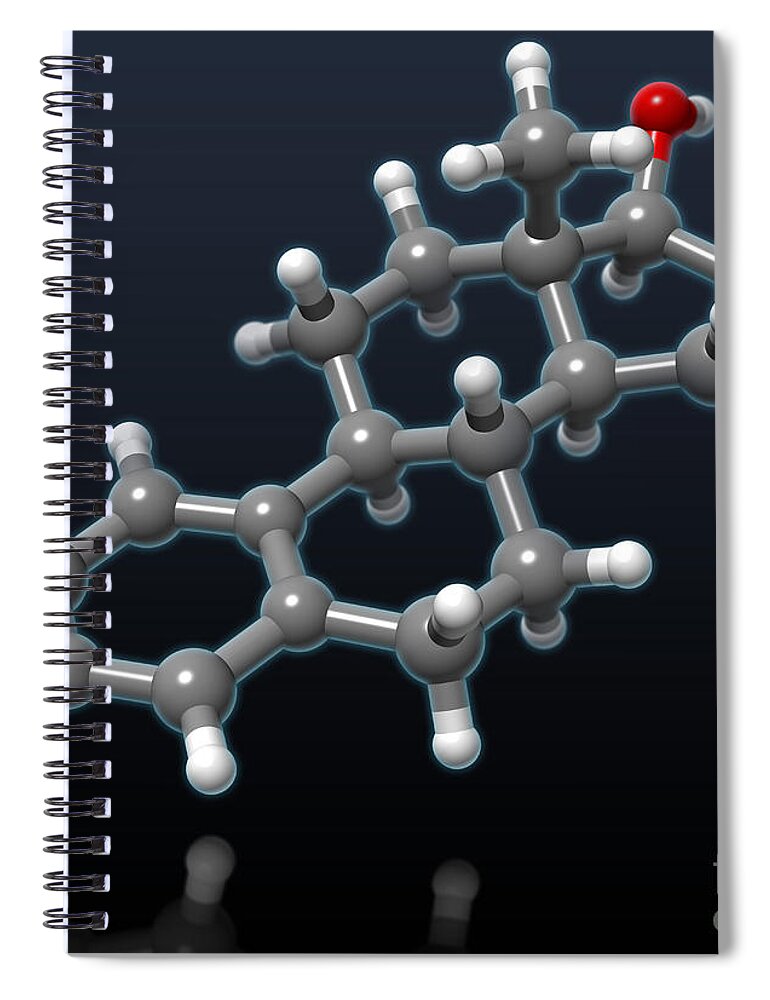Molecular Spiral Notebook featuring the photograph Estradiol Molecular Model by Evan Oto