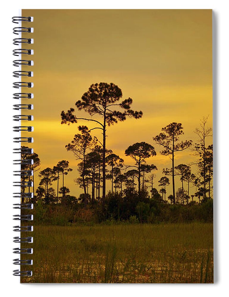 Landscape Spiral Notebook featuring the photograph Evening at St. Joe by Toni Hopper