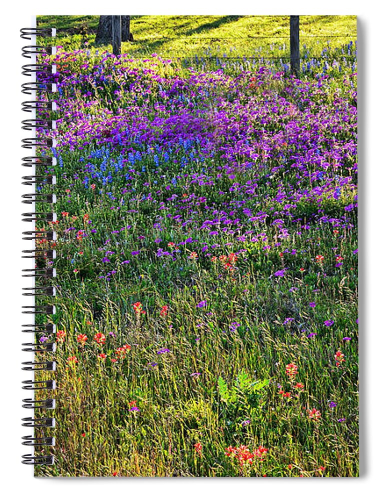 Wildflowers In The Texas Hill Country Spiral Notebook featuring the photograph Evening's Light by Lynn Bauer
