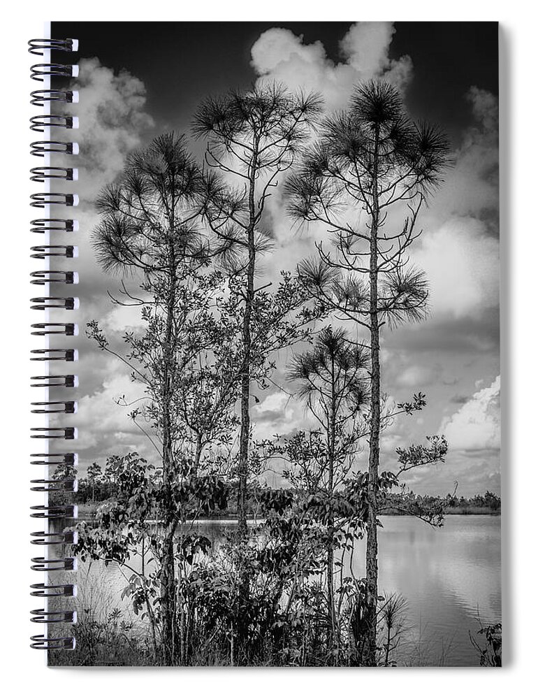 Everglades Spiral Notebook featuring the photograph Everglades 0336BW by Rudy Umans