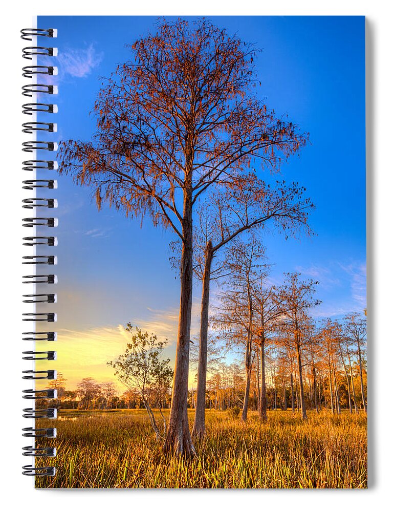 Clouds Spiral Notebook featuring the photograph Everglades at Sunset by Debra and Dave Vanderlaan