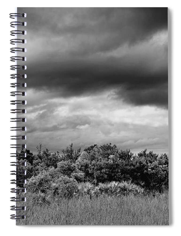  Bush Spiral Notebook featuring the photograph Everglades Storm BW by Rudy Umans