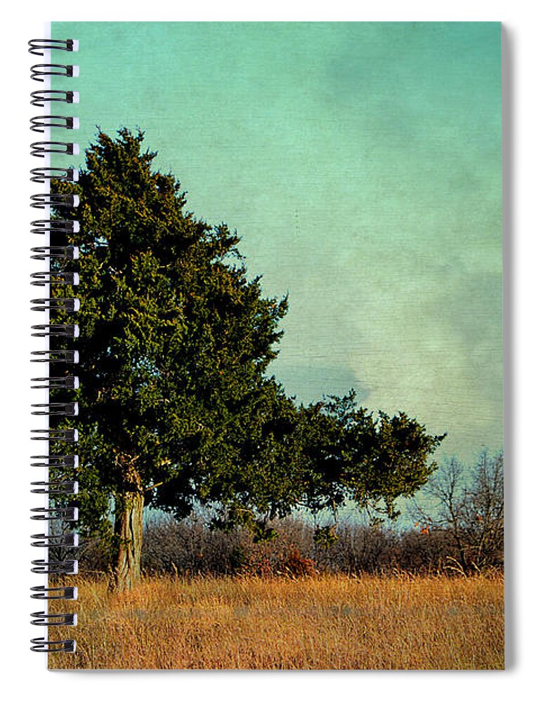 Tree Spiral Notebook featuring the photograph Evergreen by Deena Stoddard