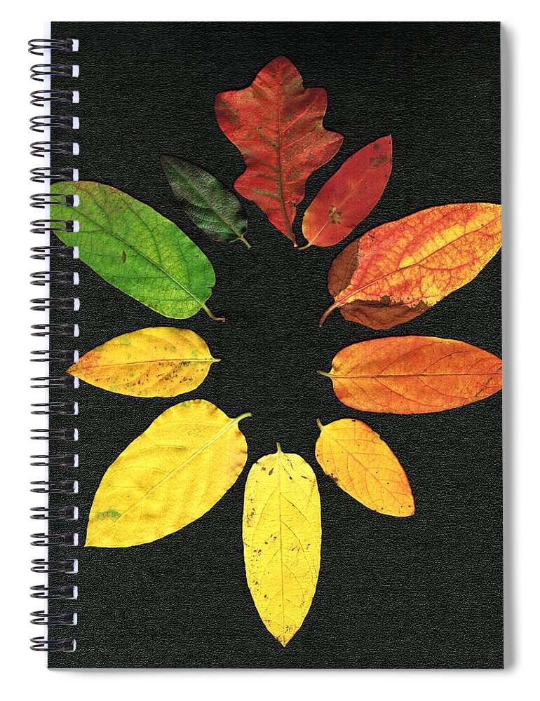 Oak Spiral Notebook featuring the digital art Evolution of Autumn Bk by Pete Trenholm