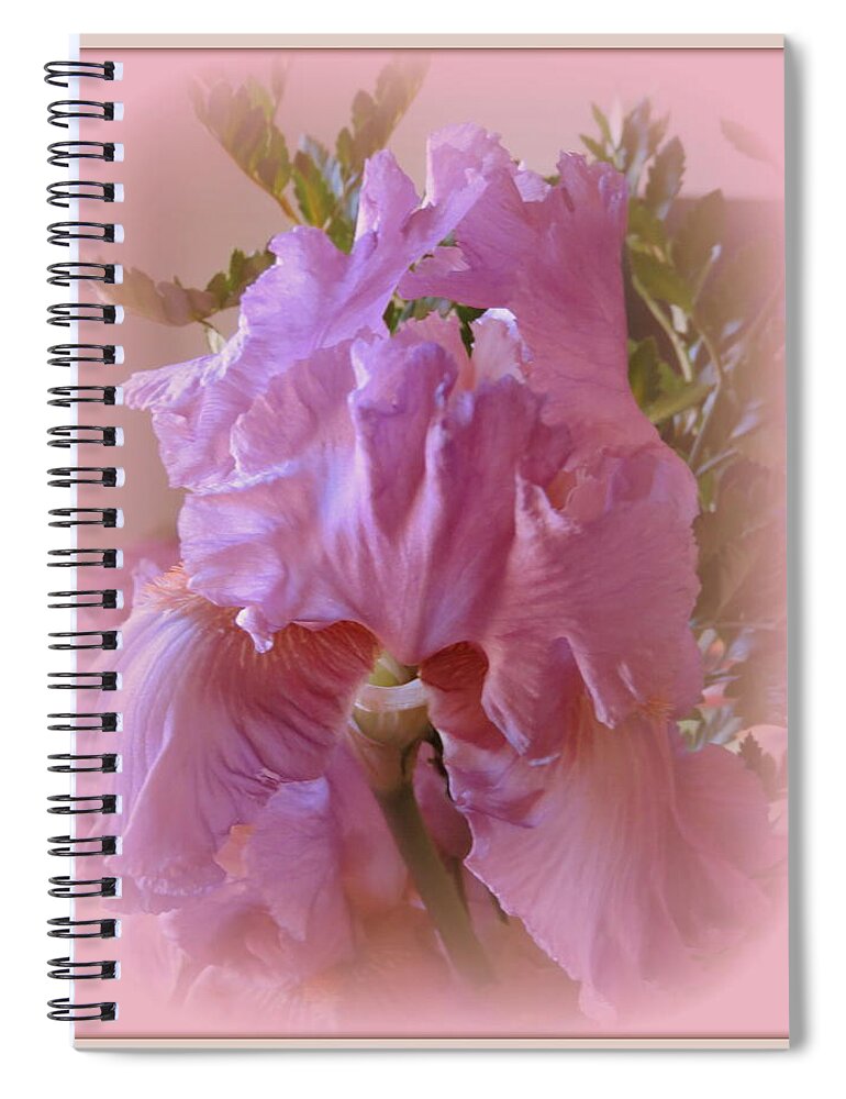 Pink Spiral Notebook featuring the photograph Exotic Iris by Kay Novy