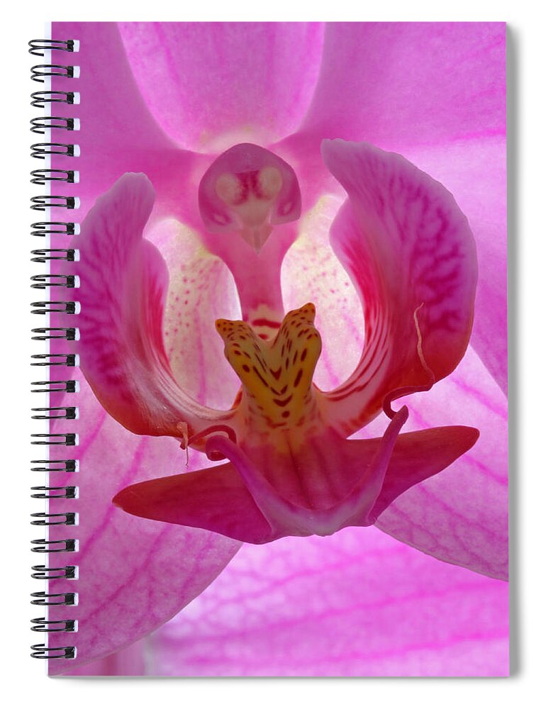 Orchid Spiral Notebook featuring the photograph Extremely Loud And Incredibly Close by Juergen Roth