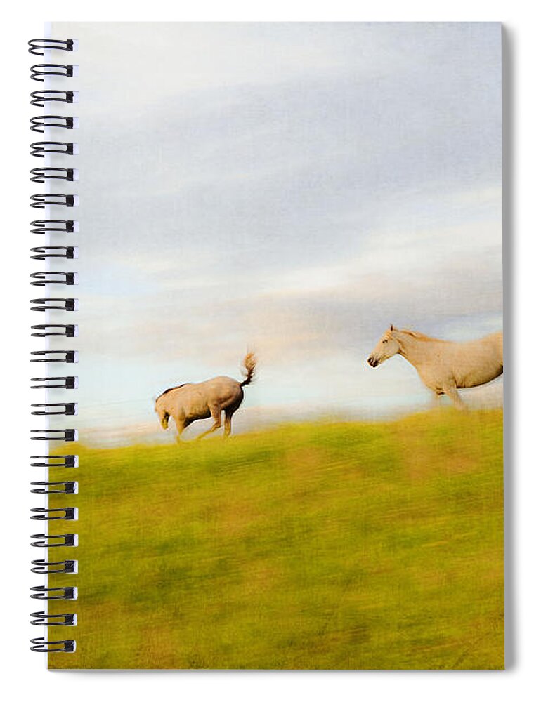 Horse Spiral Notebook featuring the photograph Exuberance by Theresa Tahara
