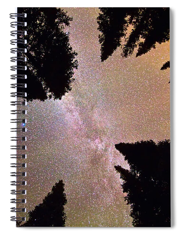 Milky Way Spiral Notebook featuring the photograph Eye of The Forest by James BO Insogna