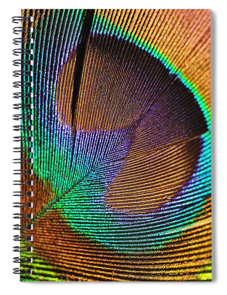 Eye Of The Peacock Spiral Notebook featuring the photograph Eye of the Peacock by Kaye Menner
