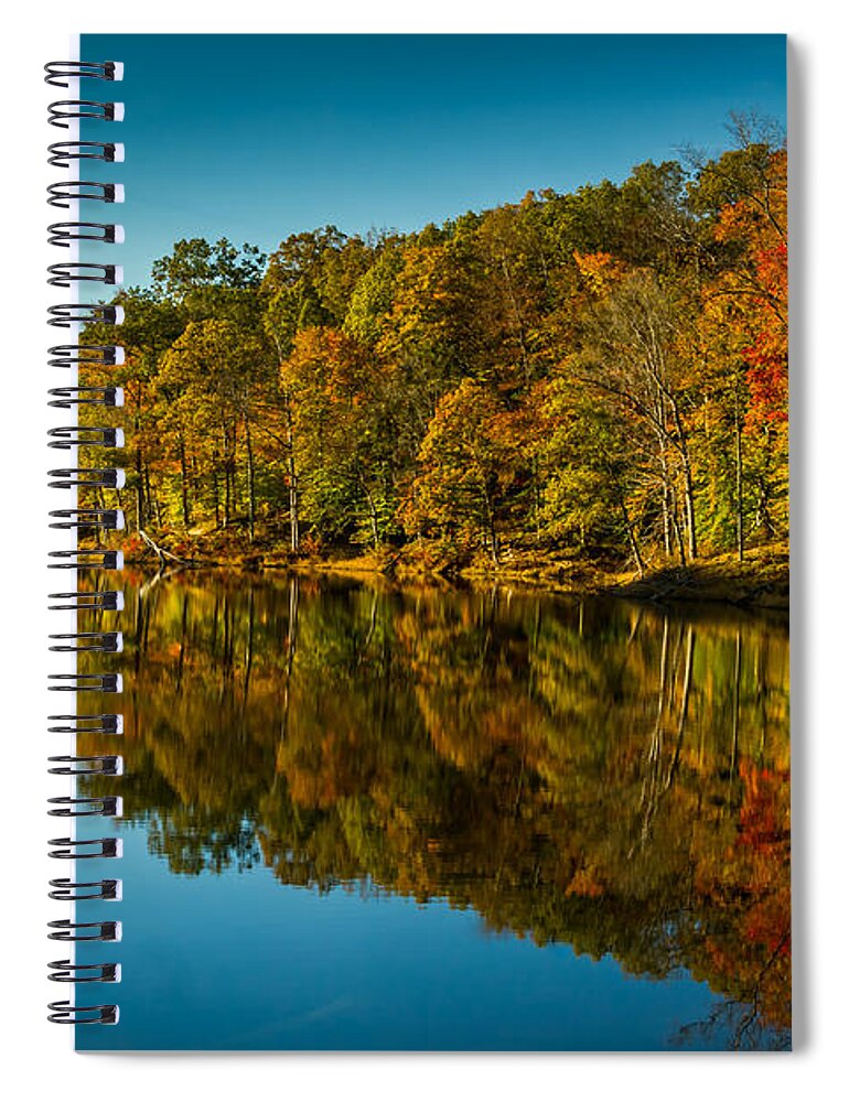 Indiana Spiral Notebook featuring the photograph Faces in the Trees by Ron Pate