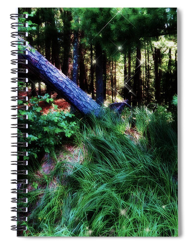 Jamie Lynn Gabrich Spiral Notebook featuring the photograph Fairy Forest by JamieLynn Warber