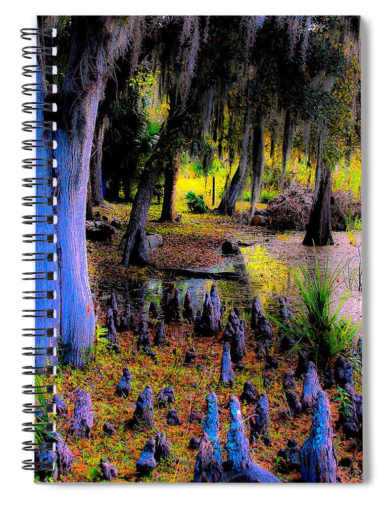 Abstract Spiral Notebook featuring the photograph Fairyland of Gnomes by DigiArt Diaries by Vicky B Fuller