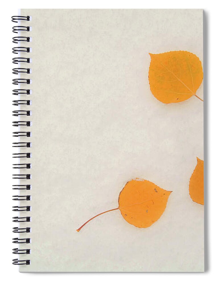 Aspen Spiral Notebook featuring the photograph Fall Aspen Leaves On First Snow by David Epperson