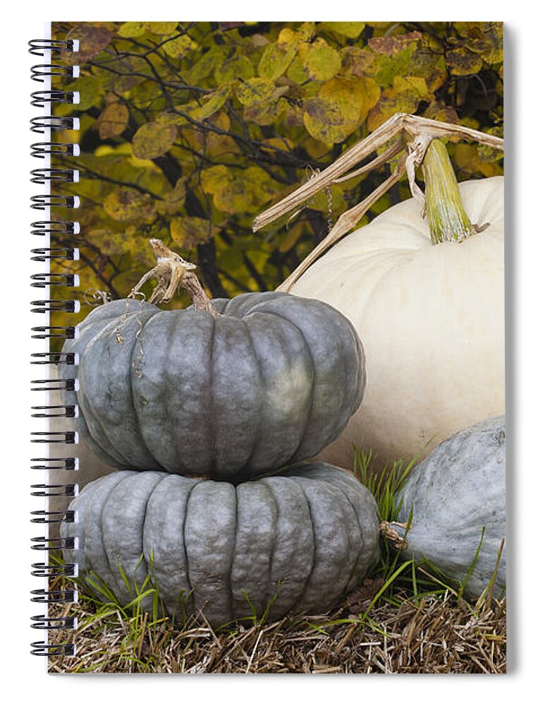 Fall Bounty Spiral Notebook featuring the photograph Fall Bounty by Patty Colabuono