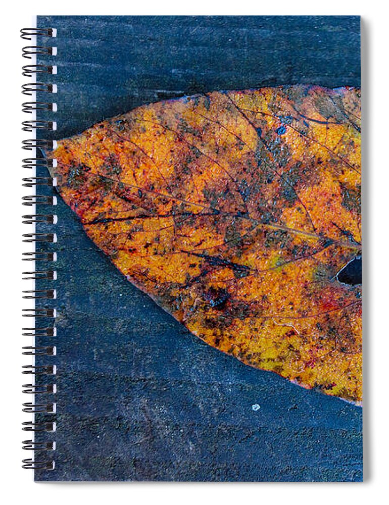 Unicoi Spiral Notebook featuring the photograph Fall Colors at Unicoi by Bernd Laeschke
