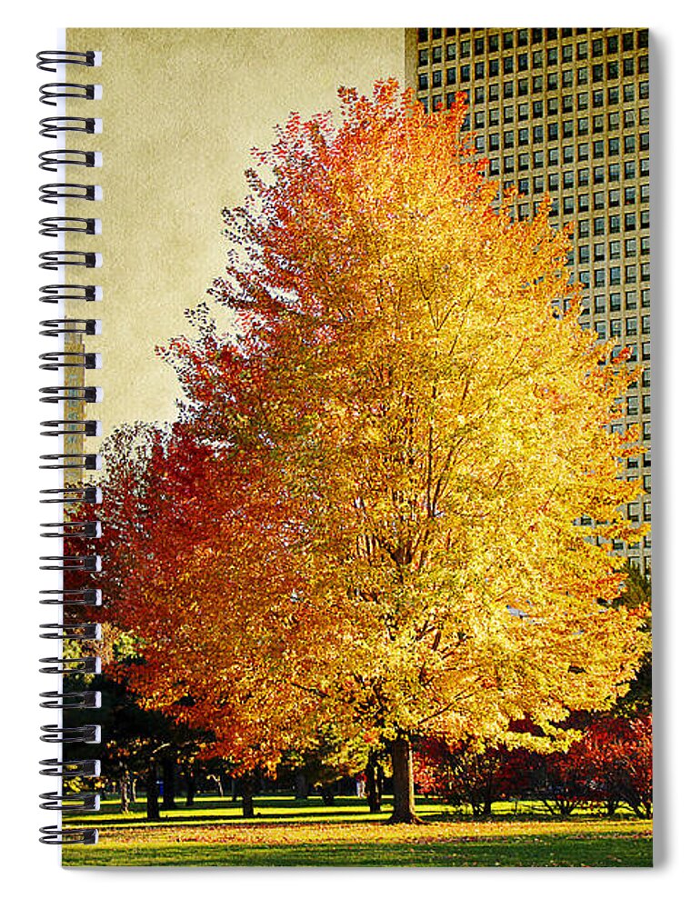 Trees Spiral Notebook featuring the photograph Fall colors in the City by Milena Ilieva