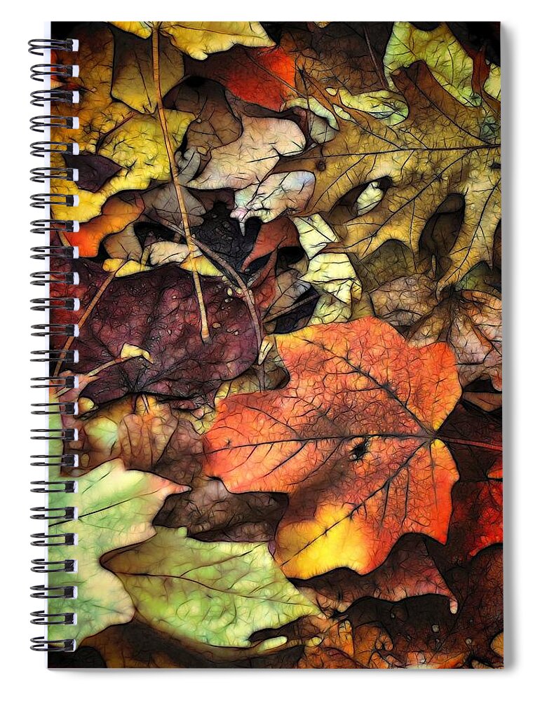 Leaf Spiral Notebook featuring the photograph Fall Colors by Lyle Hatch