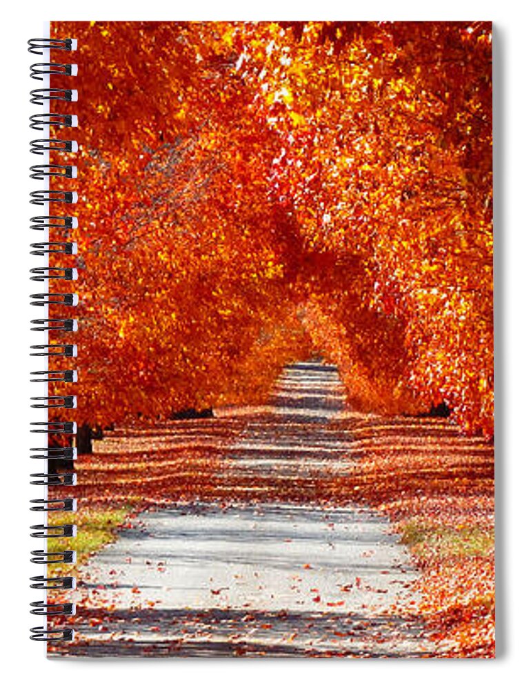 Path Spiral Notebook featuring the photograph Fall Fire by Hannah Appleton