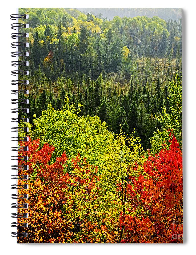 Autumn Spiral Notebook featuring the photograph Rain storm in fall forest by Elena Elisseeva