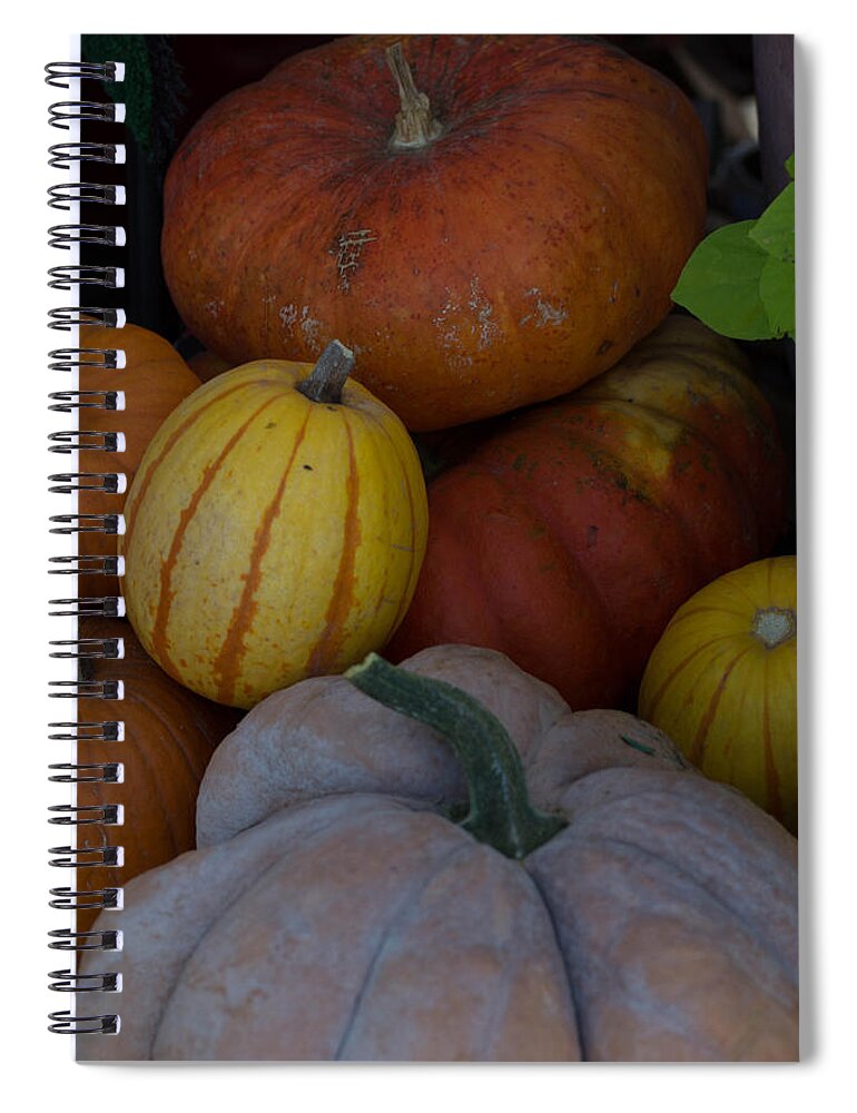 Fall Spiral Notebook featuring the photograph Fall Harvest by Michael Moriarty