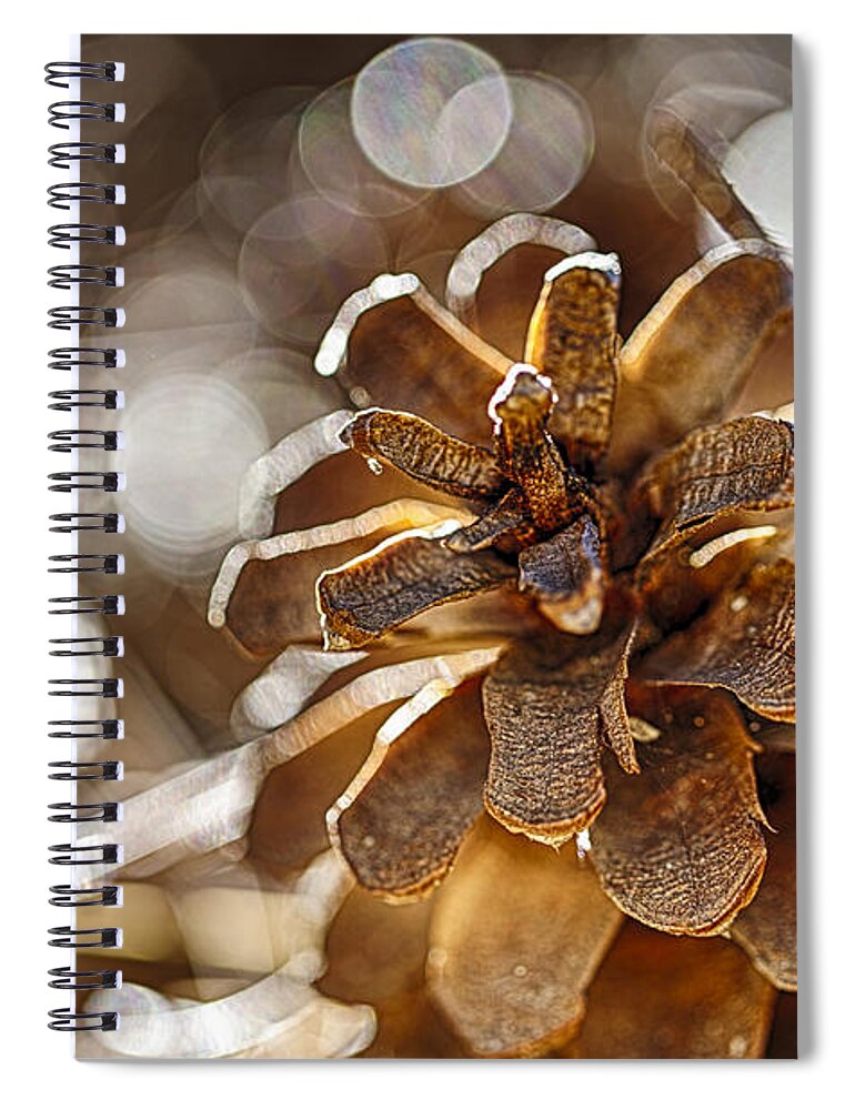 Pinecone Spiral Notebook featuring the photograph Fall Hike Up Humber by Scott Campbell