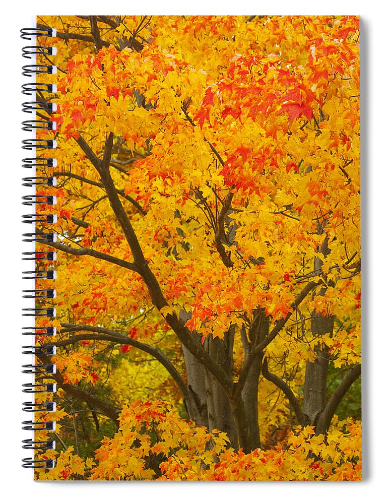 Fall Colors Spiral Notebook featuring the photograph Fall in Pennsylvania by Paul W Faust - Impressions of Light