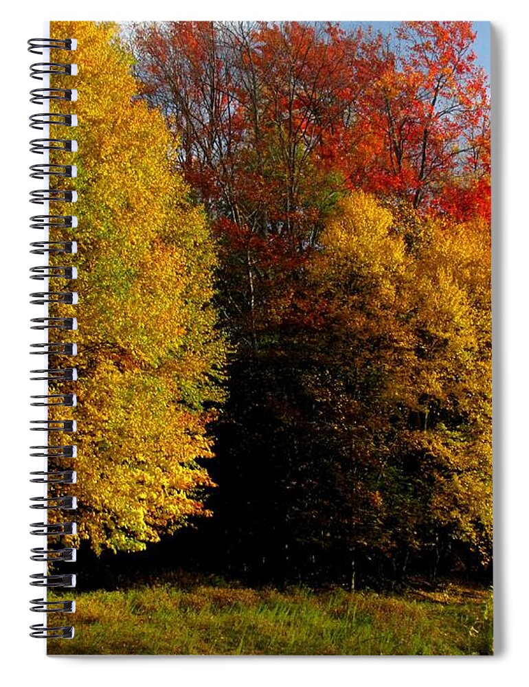 Jennifer Wheatley Wolf Spiral Notebook featuring the photograph Fall Into Gold by Jennifer Wheatley Wolf