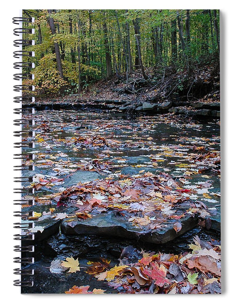 Landscape Spiral Notebook featuring the photograph Fall leaves in the creek by Paul Quinn